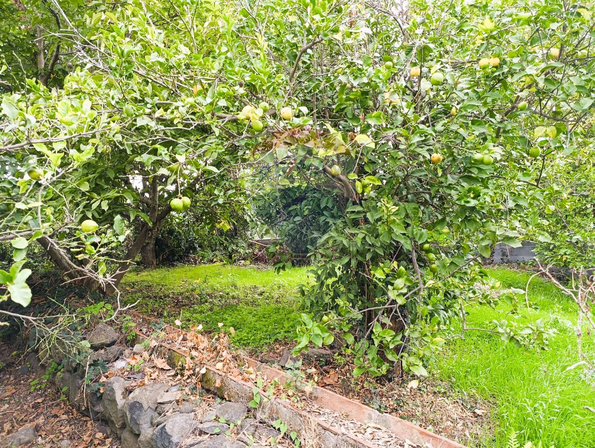 Giardino - Terreno edificabile Riposto - foto 2