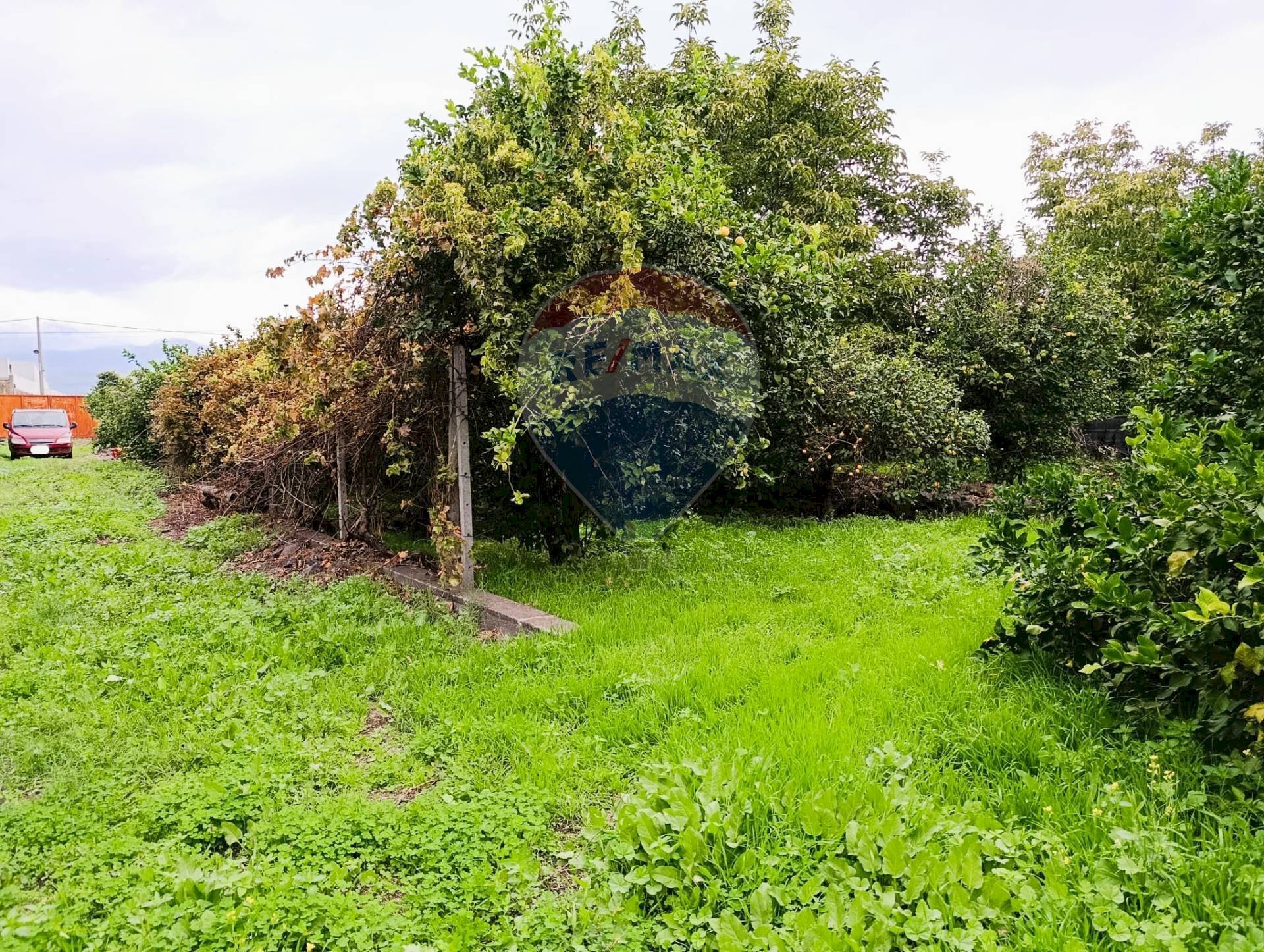 Giardino - Terreno edificabile Riposto - foto 3