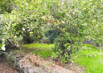 Giardino - Terreno edificabile Riposto - foto 2