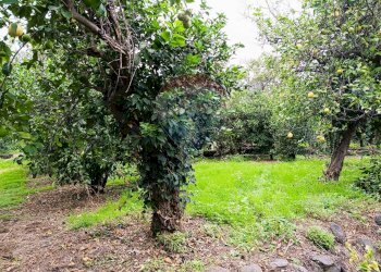 Giardino - Terreno edificabile Riposto - foto 4