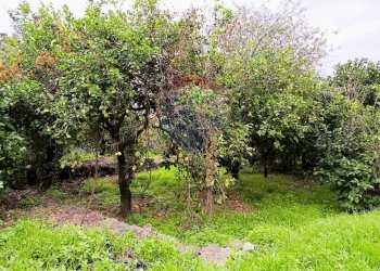 Giardino - Terreno edificabile Riposto - foto 5