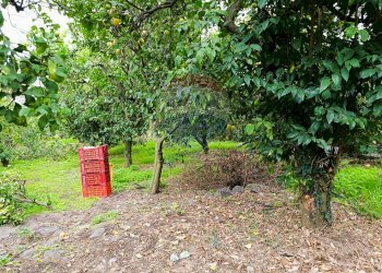 Giardino - Terreno edificabile Riposto - foto 6