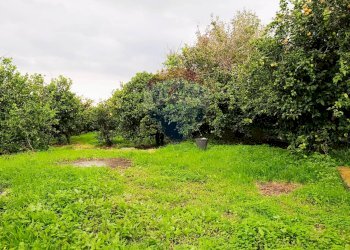 Giardino - Terreno edificabile Riposto - foto 9