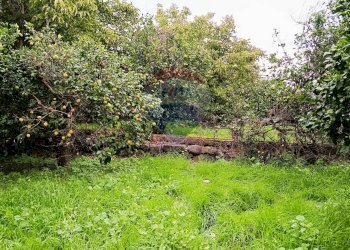 Giardino - Terreno edificabile Riposto - foto 10