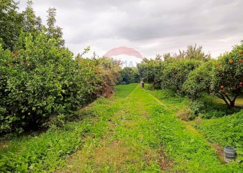 Giardino - Terreno edificabile Riposto - foto 11