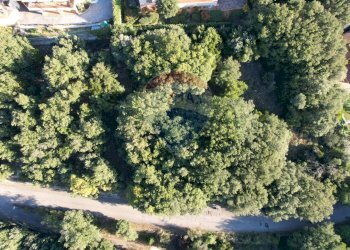 Giardino - Terreno edificabile conca del sole, Corciano - foto 11