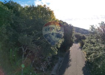 Non correlato - Terreno edificabile conca del sole, Corciano - foto 14