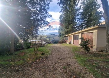 Giardino - Casa semi indipendente Montespertoli - foto 19