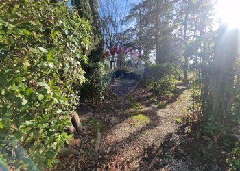 Giardino - Casa semi indipendente Montespertoli - foto 20