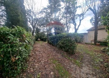 Giardino - Casa semi indipendente Montespertoli - foto 25