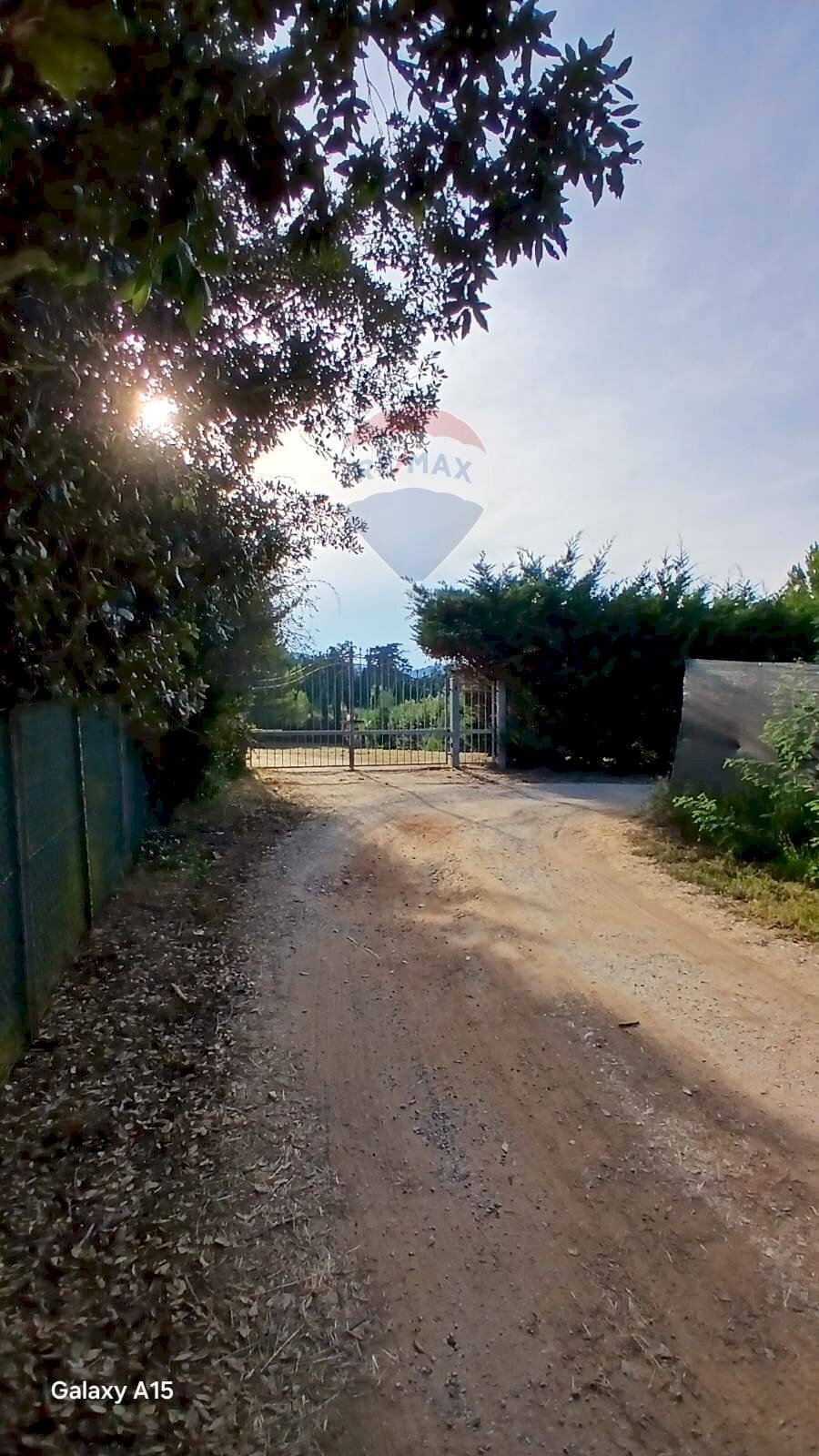 Giardino - Terreno agricolo Piombino - foto 1