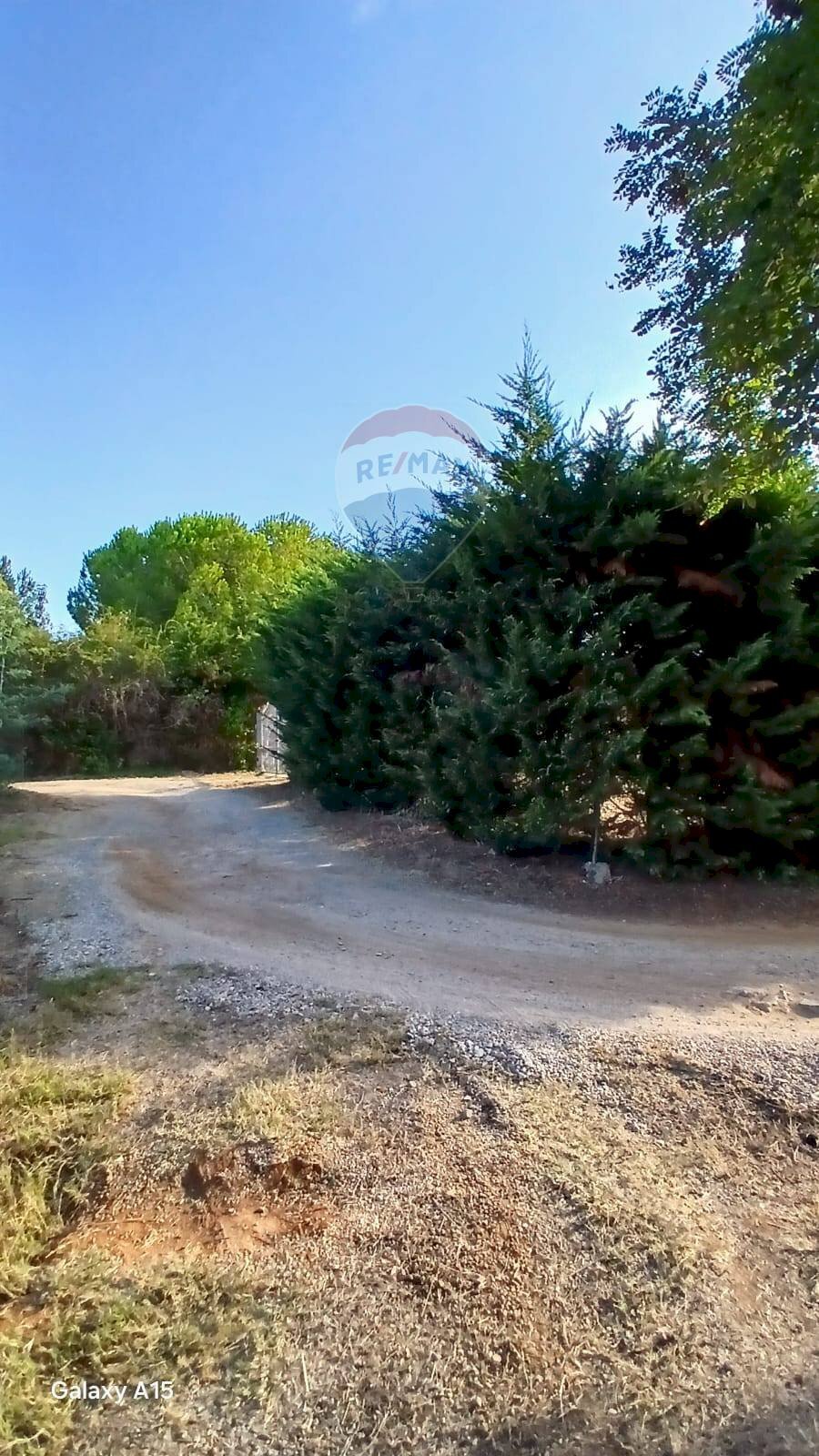 Vista dell\'acqua - Terreno agricolo Piombino - foto 3