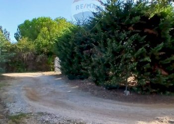 Vista dell\'acqua - Terreno agricolo Piombino - foto 3