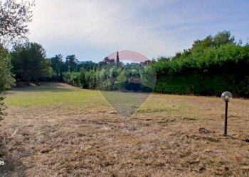 Giardino - Terreno agricolo Piombino - foto 6