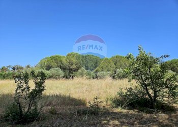 Vista delle montagne - Terreno agricolo Piombino - foto 15