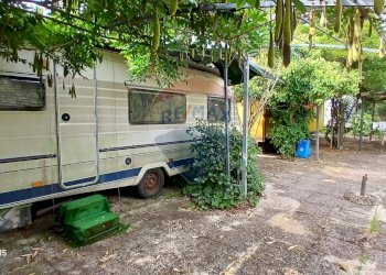 Giardino - Terreno agricolo Piombino - foto 16