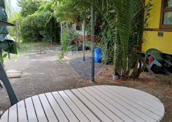 Giardino - Terreno agricolo Piombino - foto 18