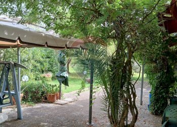 Giardino - Terreno agricolo Piombino - foto 19