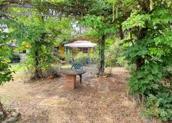 Giardino - Terreno agricolo Piombino - foto 20