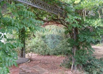 Giardino - Terreno agricolo Piombino - foto 21