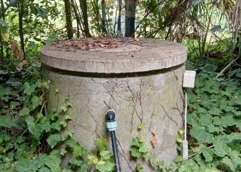 Giardino - Terreno agricolo Piombino - foto 26