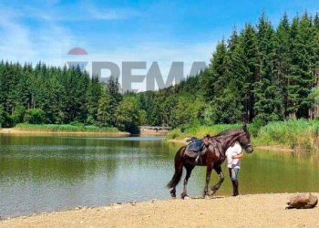 Vista dell\'acqua - Rustico Via Monte Tavianella
 
5, Castiglione dei Pepoli - foto 20