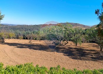 Vista delle montagne - Villa Contrada Zagaria
 
snc, Enna - foto 20