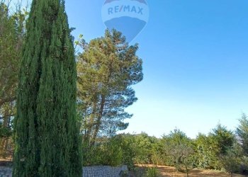 Giardino - Villa Contrada Zagaria
 
snc, Enna - foto 33