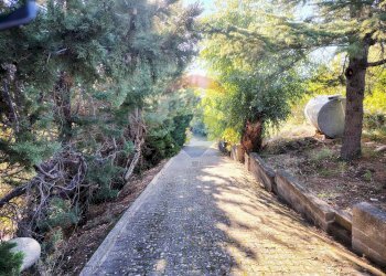 Giardino - Villa Contrada Sant'Antonio, Troina - foto 5