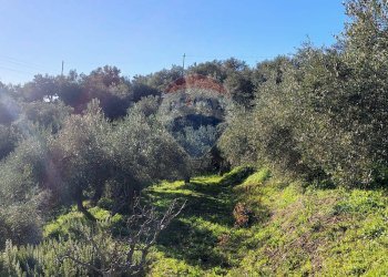 Non correlato - Villa Contrada Sant'Antonio, Troina - foto 44