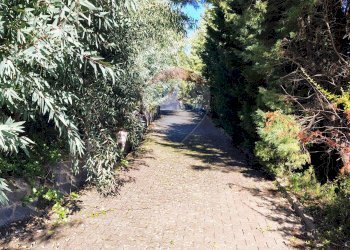 Giardino - Villa Contrada Sant'Antonio, Troina - foto 53