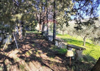 Giardino - Villa Contrada Sant'Antonio, Troina - foto 54