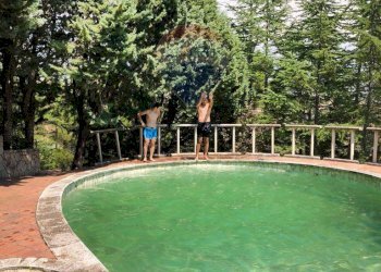 Giardino - Villa Contrada Sant'Antonio, Troina - foto 55