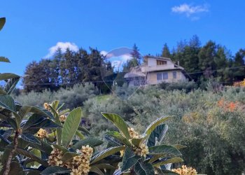 Giardino - Villa Contrada Sant'Antonio, Troina - foto 60