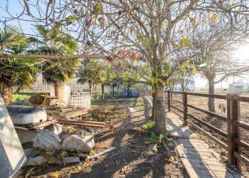 Giardino - Terraced Villa Via Confine
 
22, Dosolo - photo 40