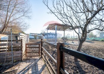Balcone - Terraced Villa Via Confine
 
22, Dosolo - photo 42