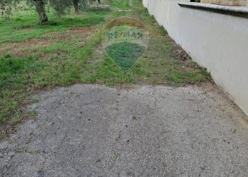 Giardino - Terreno agricolo contrada Foro morto
 
sn, Francavilla al Mare - foto 5