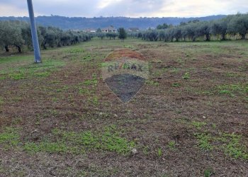 Vista delle montagne - Terreno agricolo contrada Foro morto
 
sn, Francavilla al Mare - foto 6