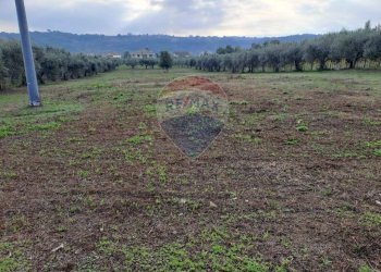Vista delle montagne - Terreno agricolo contrada Foro morto
 
sn, Francavilla al Mare - foto 8