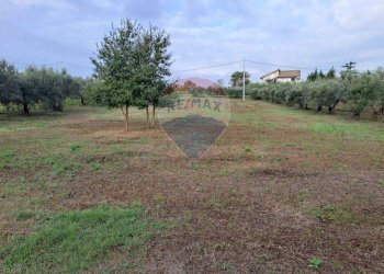 Giardino - Terreno agricolo contrada Foro morto
 
sn, Francavilla al Mare - foto 12