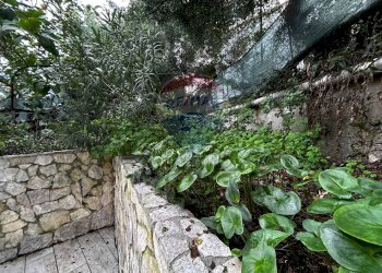 Giardino - Monolocale Via Montesanto
 
snc, Peschici - foto 14