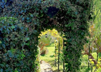 Giardino - Villa via trieste
 
s/n, Castellana Sicula - foto 6