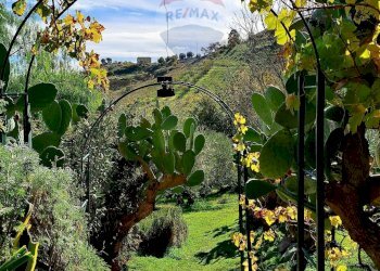 Giardino - Villa via trieste
 
s/n, Castellana Sicula - foto 7