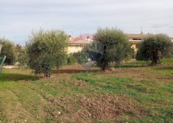 Giardino - Terreno edificabile via Santa Chiara, Rosciano - foto 3
