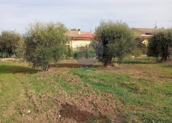 Giardino - Terreno edificabile via Santa Chiara, Rosciano - foto 6