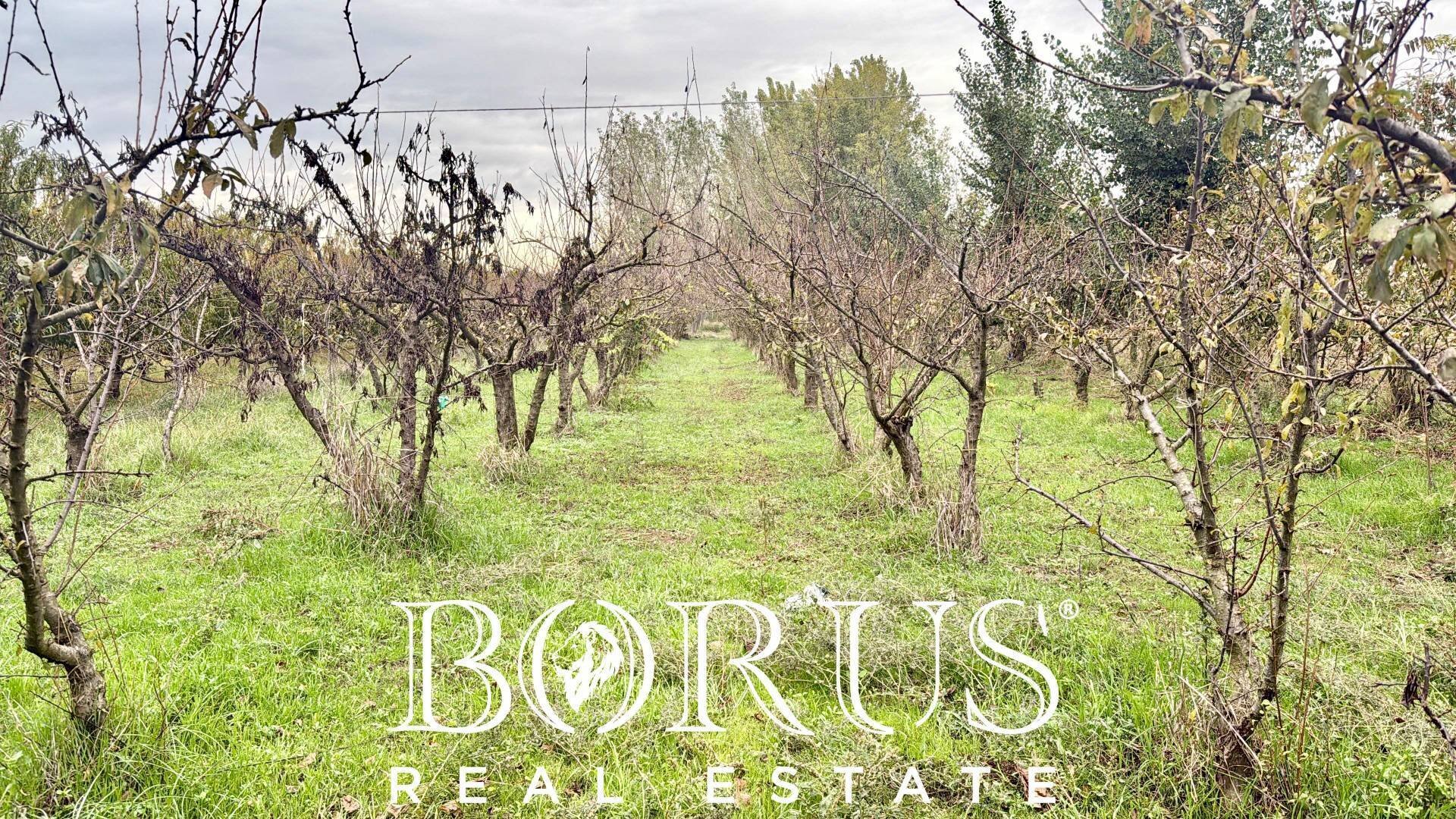 Foto 1 - Terreno edificabile Via Largo Starza, San Marcellino - foto 1