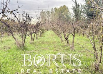 Foto 1 - Terreno edificabile Via Largo Starza, San Marcellino - foto 1