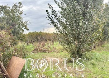 Foto 4 - Terreno edificabile Via Largo Starza, San Marcellino - foto 4