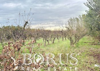 Foto 6 - Terreno edificabile Via Largo Starza, San Marcellino - foto 6