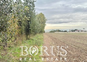 Foto 8 - Terreno edificabile Via Largo Starza, San Marcellino - foto 8